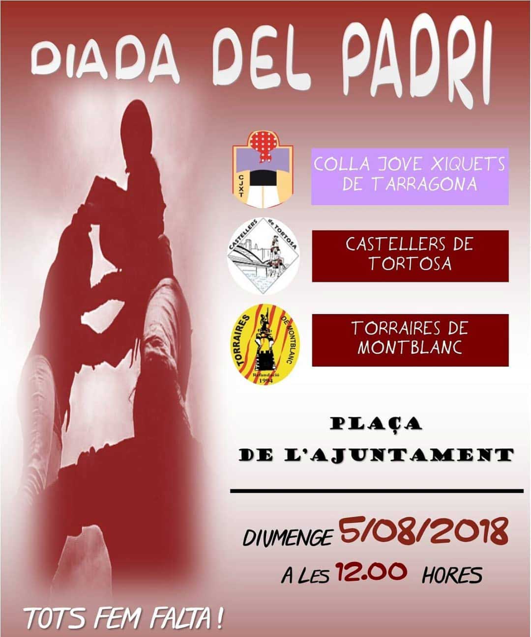Diada del Padrí dels Castellers de Tortosa